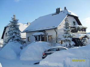 a house covered in snow with trees and a car at Dorfstraße 15 in Hundshübel