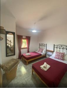een slaapkamer met 2 bedden, een stoel en een spiegel bij Finca Pili Mallorca in Felanitx