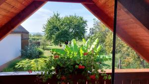 Zahrada ubytování Újhegy Apartman