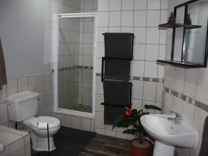 a bathroom with a toilet and a sink at Blesbok Inn in Polokwane