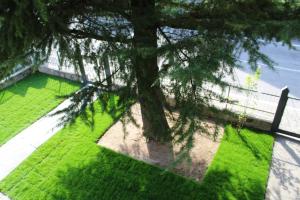 a tree sitting in the grass next to a fence at Villa Forte Salvi - Rooms in Peschiera del Garda