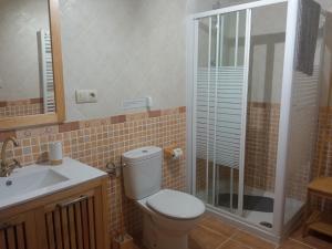 a bathroom with a toilet and a shower and a sink at Casa típica asturiana en Ribota in Celleruelo