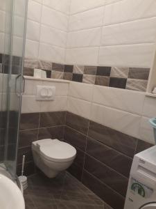 a small bathroom with a toilet and a shower at Apartmani Andrea Studio in Herceg-Novi