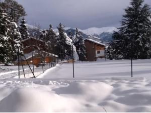 Appartement Font Romeu v zime