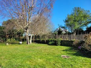 einen Hof mit einem Baum und einem Zaun in der Unterkunft Maison au calme à 2 pas du port in Cancale