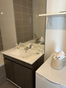 uma casa de banho com um lavatório e um espelho em Appartement meublé T3 Béziers em Béziers