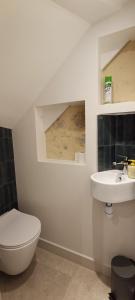 a bathroom with a toilet and a sink at CANTETEAU - Agreable maison chaleureuse et conviviale in Les Sables-d'Olonne