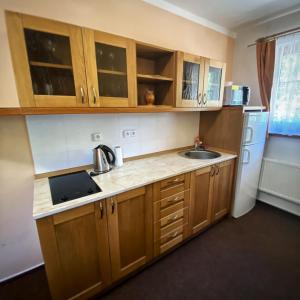 Kuchyňa alebo kuchynka v ubytovaní Horský Hotel Sněženka