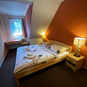 1 dormitorio con 1 cama grande y lámpara. en Horský Hotel Sněženka en Hynčice pod Sušinou