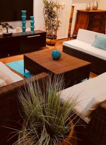 een woonkamer met banken en een tafel met een plant bij La escala aeropuerto in Luque