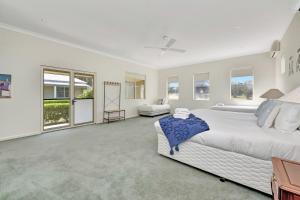 a white bedroom with a large bed and windows at Olives and Vines at Majors Lane in Lovedale