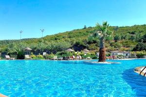 a large swimming pool with a palm tree in the middle at Villa Adalin in Milas