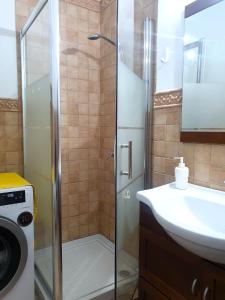 a bathroom with a shower and a sink and a washing machine at Palmera del Mar in Puerto de la Cruz