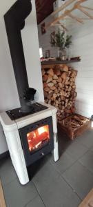 a stove in a room with a pile of logs at Chatky u potoka - chatička č.2 in Olešnice v Orlických horách