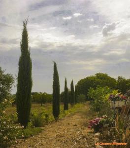Fotografia z galérie ubytovania La Chianca Ritrovata - trulli in valle d'Itria v destinácii Martina Franca