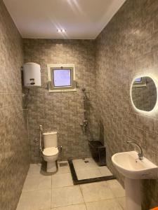 a bathroom with a toilet and a sink at Via broker in Cairo