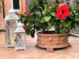 a red flower in a pot next to two lights at Annali Casa vacanze - Shabby style nella natura in La Spezia