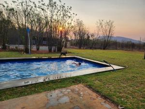 a dog and a person in a swimming pool at Vulture's View 8 in Hartbeespoort