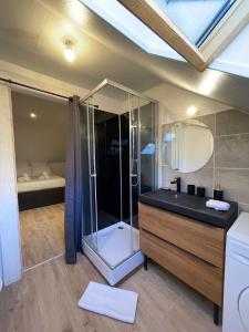 a bathroom with a glass shower and a sink at Le studio du square: beauval in Romorantin