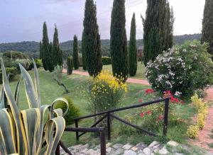 a garden with a bunch of trees and flowers at Relais Poggio Del Melograno in Montecatini Val di Cecina