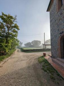 een onverharde weg naast een gebouw met een boom bij Relax nella jacuzzi in Toscana in Colle di Val d'Elsa