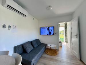 a living room with a couch and a tv on a wall at Domek letniskowy Ińsko BIO BOX in Ińsko