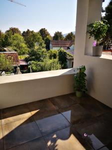 uma vista para uma varanda com um vaso de plantas em Cosy Apartment next to the center of Graz em Graz