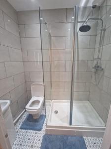 La salle de bains est pourvue d'une douche et de toilettes. dans l'établissement Digbeth City Centre Apartment Sleeps 12 Opposite Coach Station, à Birmingham