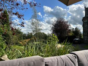 a view of a garden with a couch at Hazel Manor in Harrogate