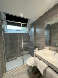 a bathroom with a shower and a toilet and a sink at Hôtel De Troyes in Troyes