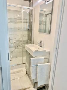 La salle de bains est pourvue d'un lavabo et d'une douche. dans l'établissement Yuri’s Home, à Turin