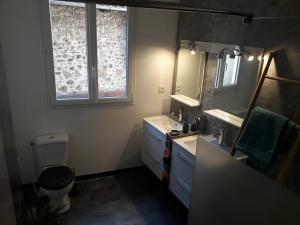 bagno con servizi igienici, lavandino e specchio di appartement tranquille a Rochechouart