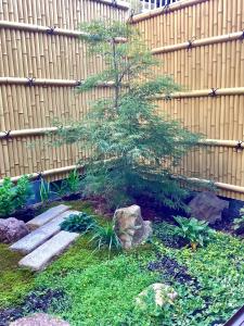 a small pine tree in front of a fence at 雅別邸 in Kyoto