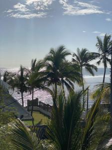 利達薩利賓的住宿－Appart Océan，享有棕榈树海滩和大海的景色