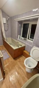 a bathroom with a toilet and a bath tub at The Helm in Pembrokeshire