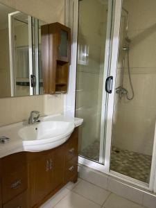 a bathroom with a sink and a shower at Amethyst bed and breakfast in Lilongwe