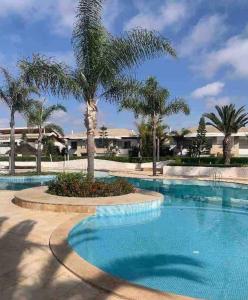 una piscina con una palma al centro di Belle Villa à Bouznika plage - Golf Bouzbay a Bouznika