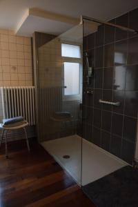 a glass shower with a glass door in a bathroom at Le Piercot in Liège