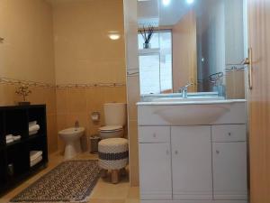 uma casa de banho com um lavatório e um WC em Apartamento de Bem Estar em São Pedro do Sul