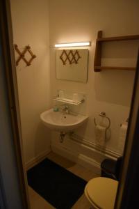 La salle de bains est pourvue d'un lavabo et de toilettes. dans l'établissement Le Piercot, à Liège