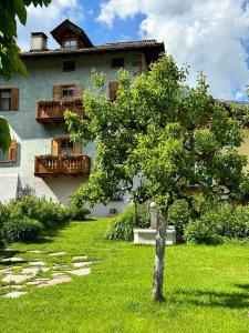 ein Baum im Gras vor einem Gebäude in der Unterkunft Casa Gianmoena in Cavalese