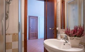 een badkamer met een wastafel en een douche bij Villa Gerini in Ronta