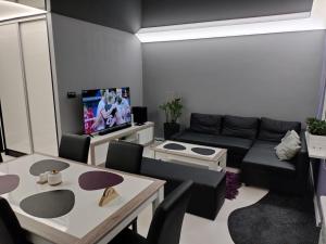 a living room with a couch and a tv at Nowoczesne mieszkanie 63m2 in Jastrzębie Zdrój