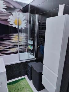 łazienka z obrazem kwiatów na ścianie w obiekcie Nowoczesne mieszkanie 63m2 w Jastrzębiu Zdroju