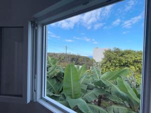 Zahrada ubytování Eden Gomera Suites