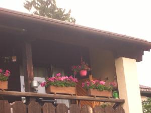 Ein Balkon oder eine Terrasse in der Unterkunft Ferienwohnung Franziska