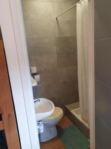 a small bathroom with a toilet and a shower at Chalet Jaune CHAMECHAUDE in Sarcenas