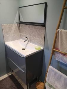 een badkamer met een wastafel en een spiegel bij Le Petit Paradis de Noordpeene in Noordpeene