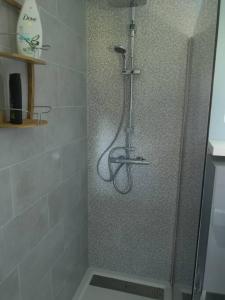 een douche met een glazen deur in de badkamer bij Le Petit Paradis de Noordpeene in Noordpeene