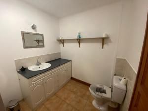 a bathroom with a sink and a toilet at La Salamandre in Savigné